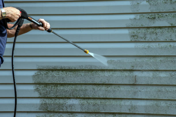 Best Gutter Cleaning  in Tunica, MS